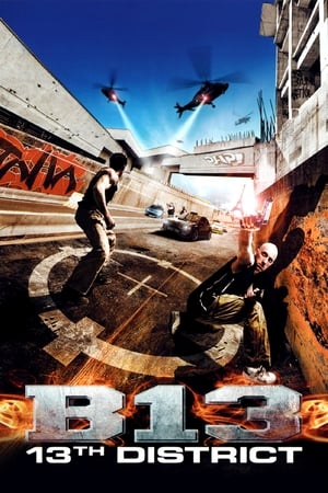 District B13 (2004) Hindi Dual Audio [1.1GB]